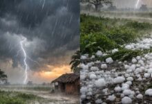 मध्य प्रदेश के 30 जिलों में बारिश और ओलावृष्टि का अलर्ट, 3 दिन बाद गर्मी का थर्ड डिग्री टॉर्चर