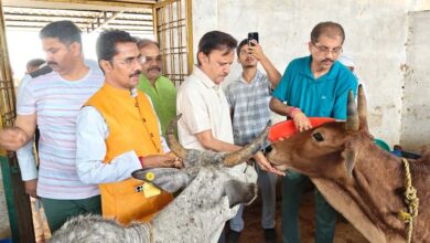 हिनौती गौधाम गौ संरक्षण एवं प्राकृतिक खेती का दिव्यधाम बनेगा : उप मुख्यमंत्री