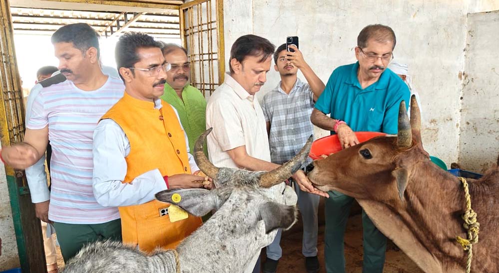 हिनौती गौधाम गौ संरक्षण एवं प्राकृतिक खेती का दिव्यधाम बनेगा : उप मुख्यमंत्री