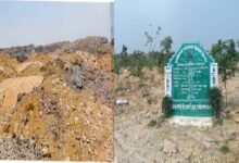 रायपुर : बंजर डंप क्षेत्र से हरा-भरा जंगल बनने की ओर गेवरा की अनूठी पहल