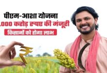 मोहला : पीएम-आशा योजना में किसानों को राहतः चना, मसूर और सरसों पंजीयन की तिथि 20 अप्रैल तक बढ़ी