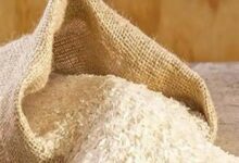 मोहला : जिले में आयोजित चावल उत्सव, राशन कार्डधारियों को तीन माह का चावल एक साथ वितरित मोहला : जिले में आयोजित चावल उत्सव, राशन कार्डधारियों को तीन माह का चावल एक साथ वितरित