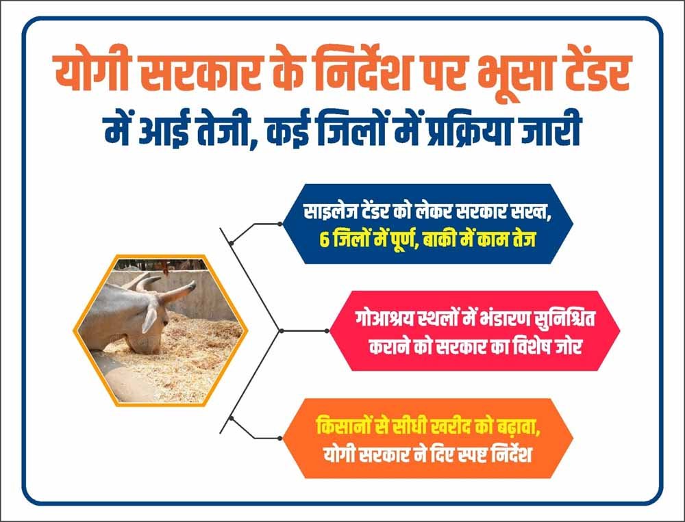 योगी सरकार के निर्देश पर भूसा टेंडर में आई तेजी, कई जिलों में प्रक्रिया जारी योगी सरकार के निर्देश पर भूसा टेंडर में आई तेजी, कई जिलों में प्रक्रिया जारी
