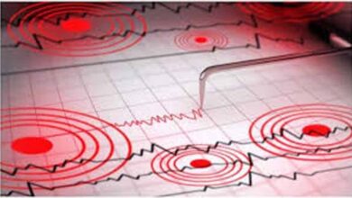 ओडिशा से बस्तर तक महसूस हुए भूकंप के झटके, सीसीटीवी में कैद हुआ नजारा