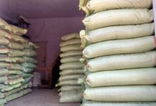 Bastar में खाद-बीज घोटाले की बड़ी जांच: करोड़ों के खेल में जनपद पंचायत अफसरों की भूमिका संदिग्ध