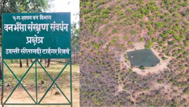 उदंती सीतानदी टाइगर रिजर्व में ‘फायर-वॉटर’ मॉडल का कमाल, 750 जल स्रोत और हाईटेक निगरानी से जंगल सुरक्षित