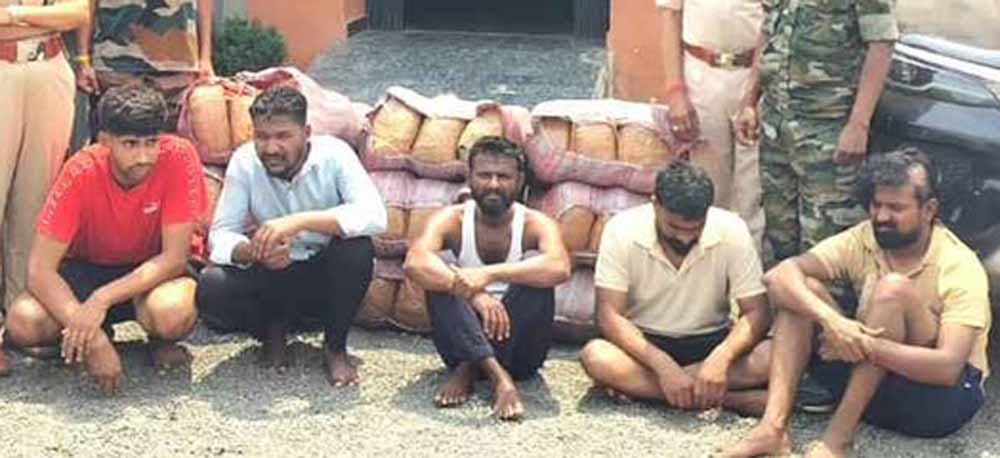 महासमुंद में बड़ा ड्रग्स ऑपरेशन: डेढ़ करोड़ का गांजा जब्त, 5 तस्कर गिरफ्तार महासमुंद में बड़ा ड्रग्स ऑपरेशन: डेढ़ करोड़ का गांजा जब्त, 5 तस्कर गिरफ्तार