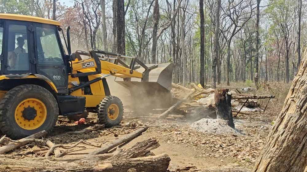 धमतरी जंगल में बड़ा एक्शन: अवैध कब्जों पर चला बुलडोजर, प्रशासन सख्त
