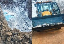 छत्तीसगढ़ में अफ्रीकन स्वाइन फीवर का कहर: 200 सूअरों की मौत, रिपोर्ट पॉजिटिव आते ही फार्म सील