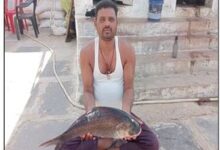 मछली पालन से आत्मनिर्भर बने प्रकाश धीवर,क्षेत्र के 20 लोगों को दे रहे रोजगार