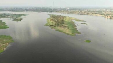 कोरबा की जीवनदायिनी को मिलेगा ’अमृत’: 165 करोड़ से संवरेगी हसदेव की धारा