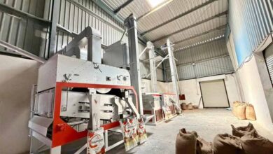 इंदौर में आधुनिक ग्रेडिंग एवं कलर सॉर्टिंग प्लांट का शुभारंभ कृषि क्षेत्र के लिए महत्वपूर्ण कदम : कृषि मंत्री  कंषाना