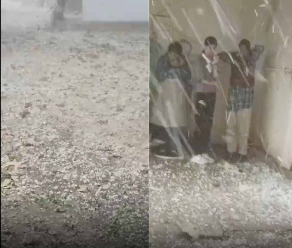 ग्वालियर में मौसम का यू-टर्न: धूप के बाद ओलों की मार, ‘बर्फबारी’ जैसे नजारे से सहमा शहर ग्वालियर में मौसम का यू-टर्न: धूप के बाद ओलों की मार, ‘बर्फबारी’ जैसे नजारे से सहमा शहर