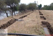 मोर गांव मोर पानी महाभियान’ से जन-जन जुड़ा  दुर्ग बना जल संरक्षण का मॉडल   जल बचाने की मुहिम को मिला जन समर्थन, ‘मोर गांव मोर पानी’ बना जन आंदोलन