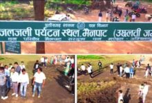 छत्तीसगढ़ की रहस्यमयी धरती: जहां कूदते ही गद्दे की तरह उछलती जमीन, वैज्ञानिक भी हैरान!