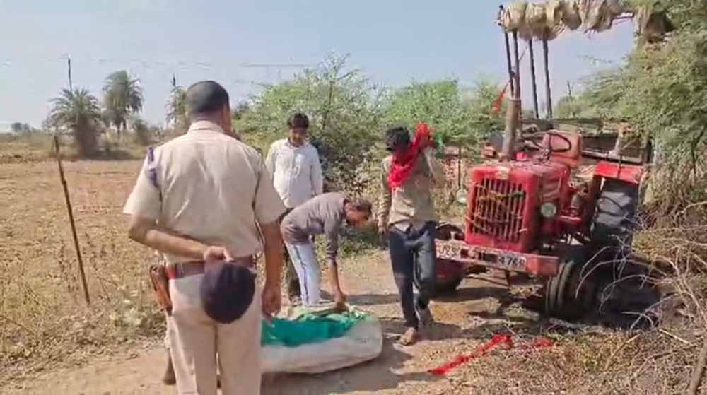 एमपी में दर्दनाक हादसा, हाईटेंशन लाइन से टकराई ट्रैक्टर-ट्रॉली—महिला व बच्चे की मौत एमपी में दर्दनाक हादसा, हाईटेंशन लाइन से टकराई ट्रैक्टर-ट्रॉली—महिला व बच्चे की मौत