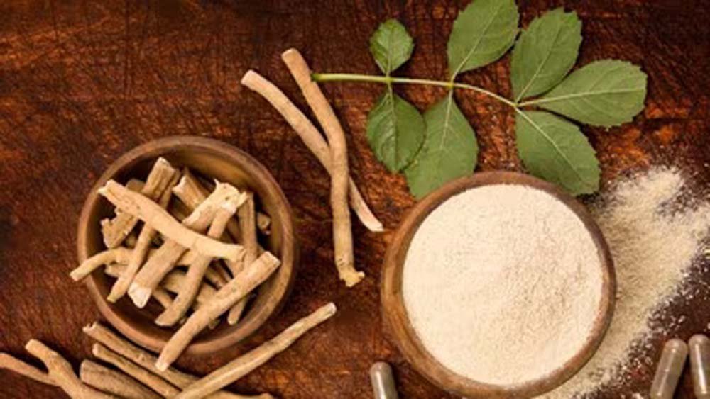 FSSAI का बड़ा फैसला: अश्वगंधा की पत्तियों पर रोक क्यों? जानें जड़ के फायदे और नुकसान FSSAI का बड़ा फैसला: अश्वगंधा की पत्तियों पर रोक क्यों? जानें जड़ के फायदे और नुकसान