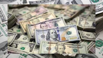 भारत का विदेशी मुद्रा भंडार पहुंचा 0.9 अरब, रिकॉर्ड तोड़ बढ़त, अर्थव्यवस्था के लिए शुभ संकेत