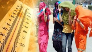 भीषण गर्मी का कहर: भिंड में पारा 43.1°C पहुंचा, लू का अलर्ट जारी—इन 2 बीमारियों का बढ़ा खतरा
