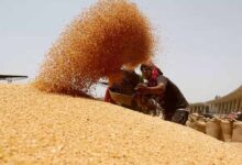 2 दिन में किसानों को 6 करोड़ 37 लाख का भुगतान