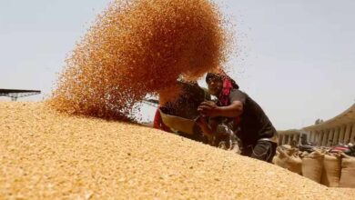 2 दिन में किसानों को 6 करोड़ 37 लाख का भुगतान 2 दिन में किसानों को 6 करोड़ 37 लाख का भुगतान