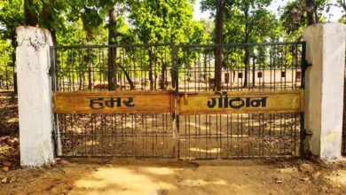 धोवाताल की 60 महिलाओं ने रची आत्मनिर्भरता की मिसाल धोवाताल की 60 महिलाओं ने रची आत्मनिर्भरता की मिसाल