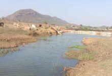 मनरेगा से पनारी नाले का जीर्णोद्धार: 1200 ग्रामीणों को पेयजल व सिंचाई का लाभ