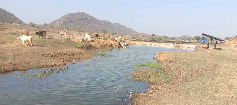 मनरेगा से पनारी नाले का जीर्णोद्धार: 1200 ग्रामीणों को पेयजल व सिंचाई का लाभ मनरेगा से पनारी नाले का जीर्णोद्धार: 1200 ग्रामीणों को पेयजल व सिंचाई का लाभ