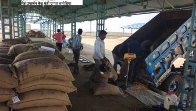 समर्थन मूल्य पर पहले दिन हुई 1616 क्विंटल गेहूँ की खरीदी : खाद्य मंत्री राजपूत समर्थन मूल्य पर पहले दिन हुई 1616 क्विंटल गेहूँ की खरीदी : खाद्य मंत्री राजपूत