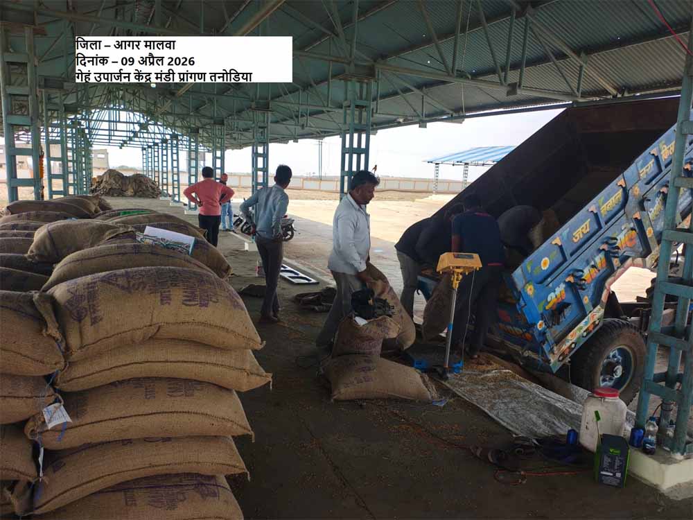 समर्थन मूल्य पर पहले दिन हुई 1616 क्विंटल गेहूँ की खरीदी : खाद्य मंत्री राजपूत समर्थन मूल्य पर पहले दिन हुई 1616 क्विंटल गेहूँ की खरीदी : खाद्य मंत्री राजपूत