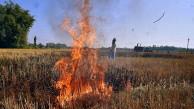 नरवाई में आग की 1016 घटनाएं, 19 किसानों पर 57 हजार जुर्माना, 852 को चिह्नित किया गया