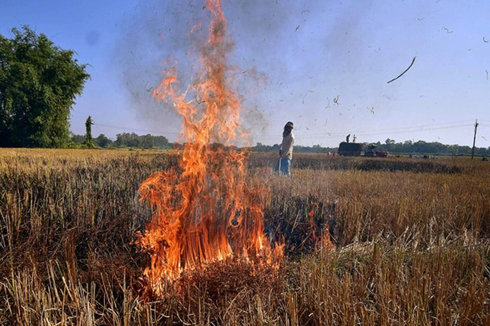 नरवाई में आग की 1016 घटनाएं, 19 किसानों पर 57 हजार जुर्माना, 852 को चिह्नित किया गया नरवाई में आग की 1016 घटनाएं, 19 किसानों पर 57 हजार जुर्माना, 852 को चिह्नित किया गया