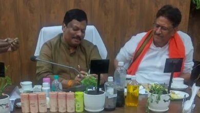 सतावर की खेती से किसानों की होगी बंपर कमाई, खेत की मेड़ बनेगी अतिरिक्त आय का जरिया