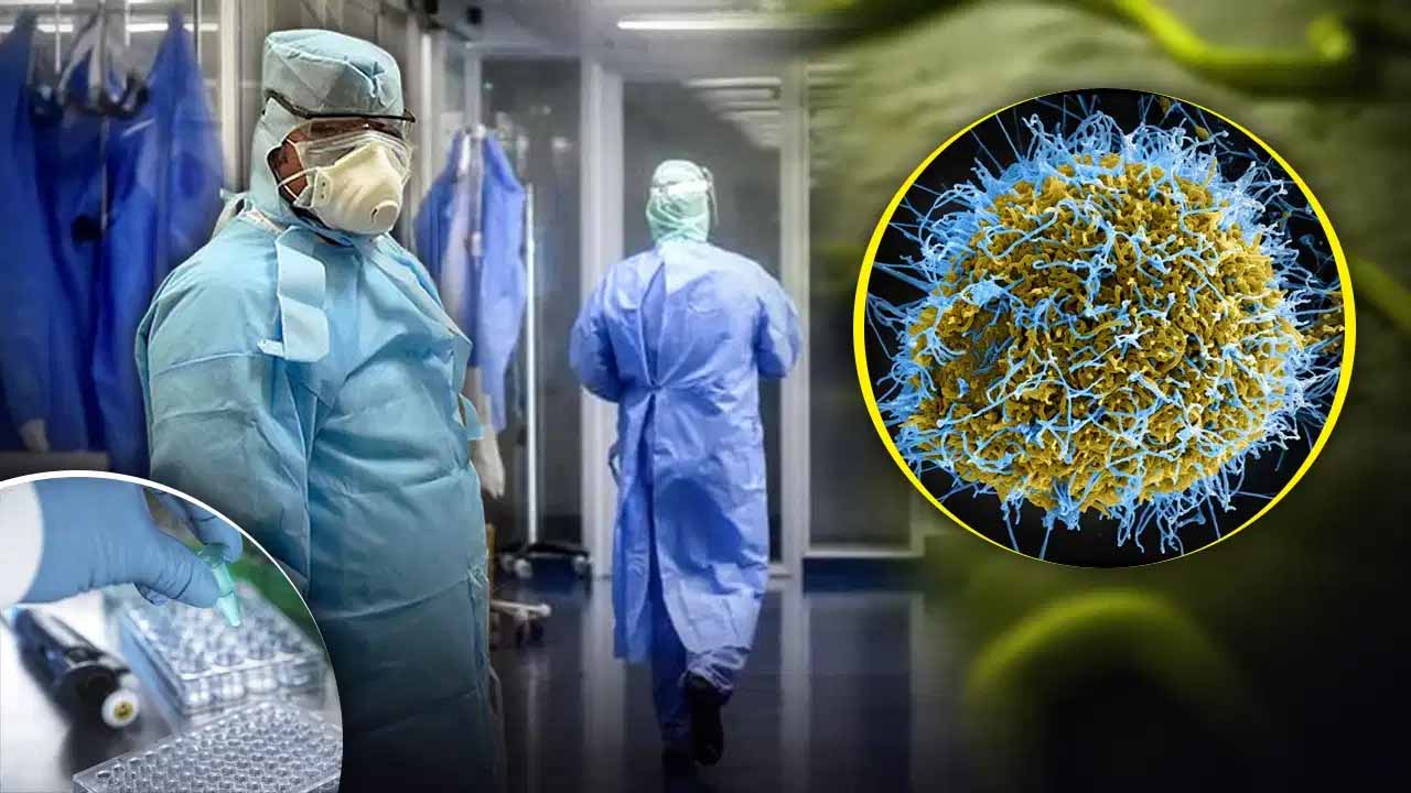 इबोला संकट पर भारत अलर्ट: कांगो-युगांडा यात्रा से बचने की सलाह इबोला संकट पर भारत अलर्ट: कांगो-युगांडा यात्रा से बचने की सलाह