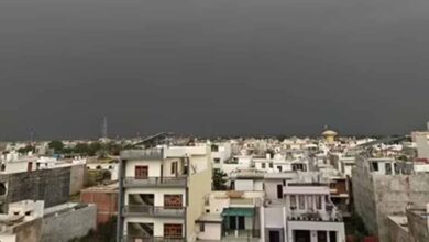 लखनऊ में तूफान का कहर: दिन में छाया अंधेरा, सैकड़ों पेड़ गिरे