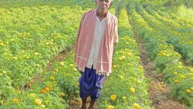 धान छोड़ फूलों की खेती ने बदली आनंदराम की तकदीर,22 हजार के बदले कमाए 3 लाख रुपए