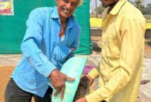 ​धमतरी का गौरव: ‘विश्व की सबसे बड़ी अनाज भंडारण योजना’ में बनाया कीर्तिमान,प्रदेश के कुल चने का 50% अकेले खरीदा