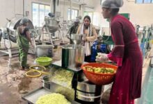 बदलता छत्तीसगढ़: वनोपज की चमक से संवरती ग्रामीण अर्थव्यवस्था