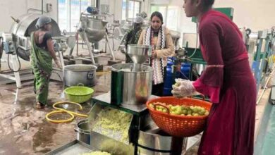 बदलता छत्तीसगढ़: वनोपज की चमक से संवरती ग्रामीण अर्थव्यवस्था