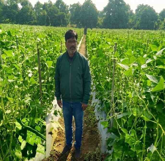 उद्यानिकी की आधुनिक तकनीकों से किसान महेश कश्यप की बदली तकदीर उद्यानिकी की आधुनिक तकनीकों से किसान महेश कश्यप की बदली तकदीर