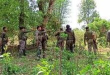 चक्रधरपुर: पोड़ाहाट जंगल में पुलिस-नक्सली मुठभेड़, एक-दो नक्सली ढेर की आशंका
