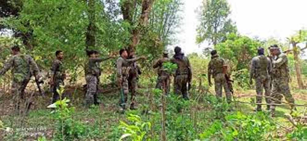 चक्रधरपुर: पोड़ाहाट जंगल में पुलिस-नक्सली मुठभेड़, एक-दो नक्सली ढेर की आशंका चक्रधरपुर: पोड़ाहाट जंगल में पुलिस-नक्सली मुठभेड़, एक-दो नक्सली ढेर की आशंका