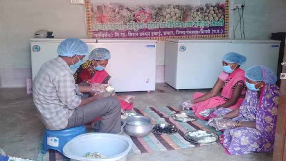 सीताफल उत्पादन एवं प्रसंस्करण से महिला स्व-सहायता समूहों की आर्थिक स्थिति में सुधार सीताफल उत्पादन एवं प्रसंस्करण से महिला स्व-सहायता समूहों की आर्थिक स्थिति में सुधार