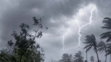 छत्तीसगढ़ में मौसम का कहर! कई जिलों में आंधी-बारिश और बिजली गिरने का ऑरेंज अलर्ट जारी छत्तीसगढ़ में मौसम का कहर! कई जिलों में आंधी-बारिश और बिजली गिरने का ऑरेंज अलर्ट जारी