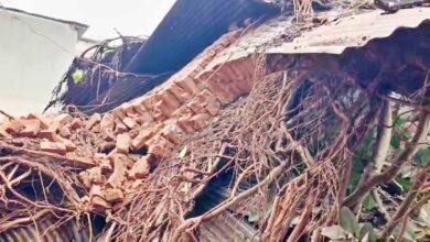 बिहार में आंधी-बारिश और ओलावृष्टि से 13 की मौत, कई जिलों में तबाही