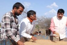 जिन किसानों के स्लॉट बुक हैं, उनसे 28 मई तक गेहूं खरीदेगी सरकार : मुख्यमंत्री डॉ. यादव