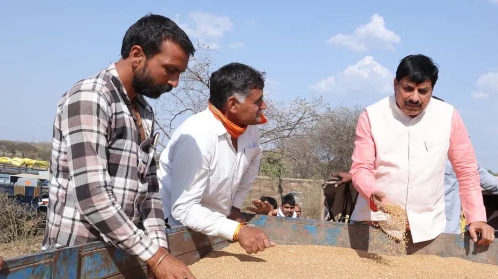 जिन किसानों के स्लॉट बुक हैं, उनसे 28 मई तक गेहूं खरीदेगी सरकार : मुख्यमंत्री डॉ. यादव