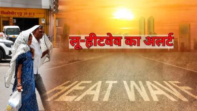 MP में भीषण गर्मी का कहर, जानवरों के लिए लगाए कूलर-ग्रीन नेट; 6 जिलों में हीटवेव अलर्ट MP में भीषण गर्मी का कहर, जानवरों के लिए लगाए कूलर-ग्रीन नेट; 6 जिलों में हीटवेव अलर्ट