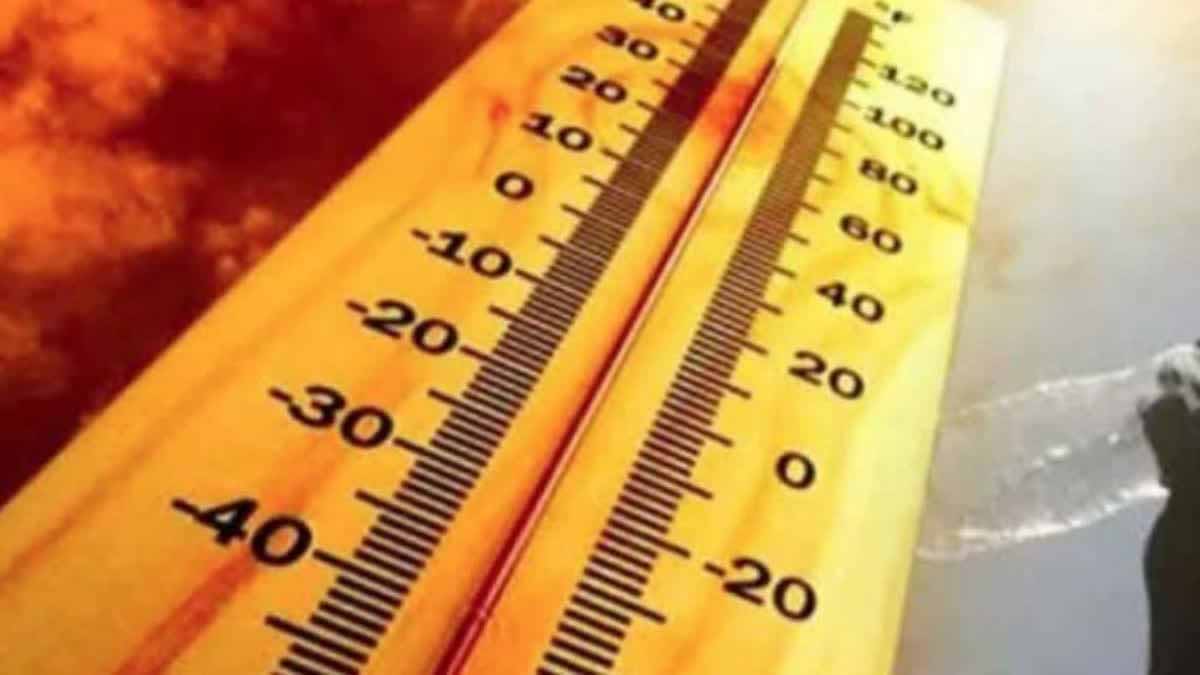 दिल्ली में 14 साल का गर्मी रिकॉर्ड टूटा, न्यूनतम तापमान 31.9°C तक पहुंचा दिल्ली में 14 साल का गर्मी रिकॉर्ड टूटा, न्यूनतम तापमान 31.9°C तक पहुंचा