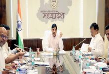 सौर ऊर्जा के उपयोग को अधिकाधिक प्रोत्साहित करें : मुख्यमंत्री डॉ. यादव
